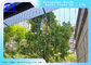 Koruma Hasırı 7X7 Paslanmaz Çelik Halat Balkon Görünmez Güvenlik Izgarası