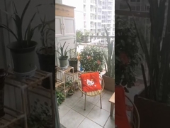 316 Kalite Paslanmaz Çelik  Klipsli Geçiş Güvenliği İle Görünmez Balkon Korkuluğu