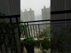 Ev Görünmez Sabit Güvenlik ızgaraları Çocukların ve evcil hayvanların güvenliği için pas karşıtı tel