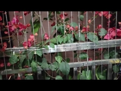 Modern Toplum Tasarımı Balkon Pençleme Servisi ve Yük Kapasitesi 100kg ile Görünmez ızgara