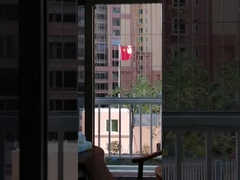 316 Paslanmaz Çelik Görünmez Çatal Balkon Hırsız Alarmı