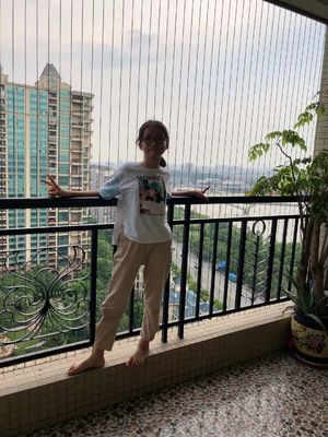 Ticari Binalarda Balkonlar İçin 100kg Yük Kapasiteli Koruma Çözümü Sunan Alüminyum Raylı Çerçeve Balkon Güvenlik Izgarası