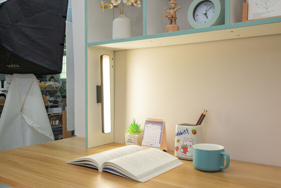 Detaylı denetim ve güvence görevleri için 3000-6500K renk sıcaklığı sunan manyetik çekim lambası