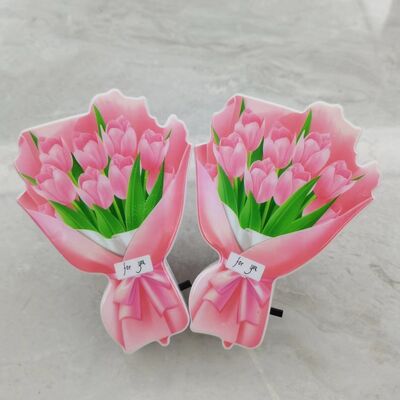 Plug in Night Light LED Light Source Type Multiple Indoor Bedrooms and Hallways