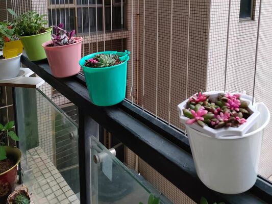 Invisible Grille Flower Pot Clip Crossing 3.0mm Structural Support and Decorative Plant Holders