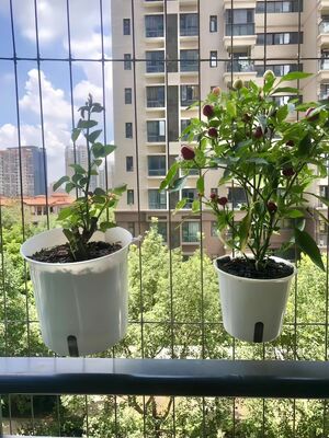 Plastic Invisible Grille Flower  Pot Strong Fastening Solution Ideal for Mechanical Assemblies and Industrial Uses
