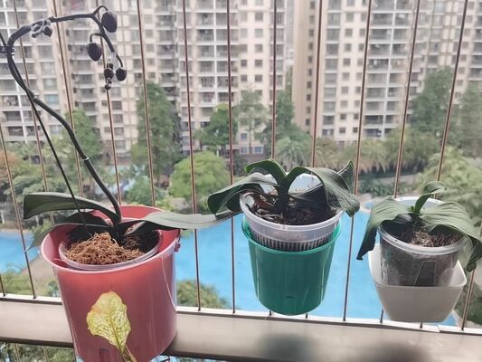 Görünmez Izgara Saksı Aksesuarları Orta Boy Dayanıklı Balkon İçin Mükemmel Görünmez Izgara Teli